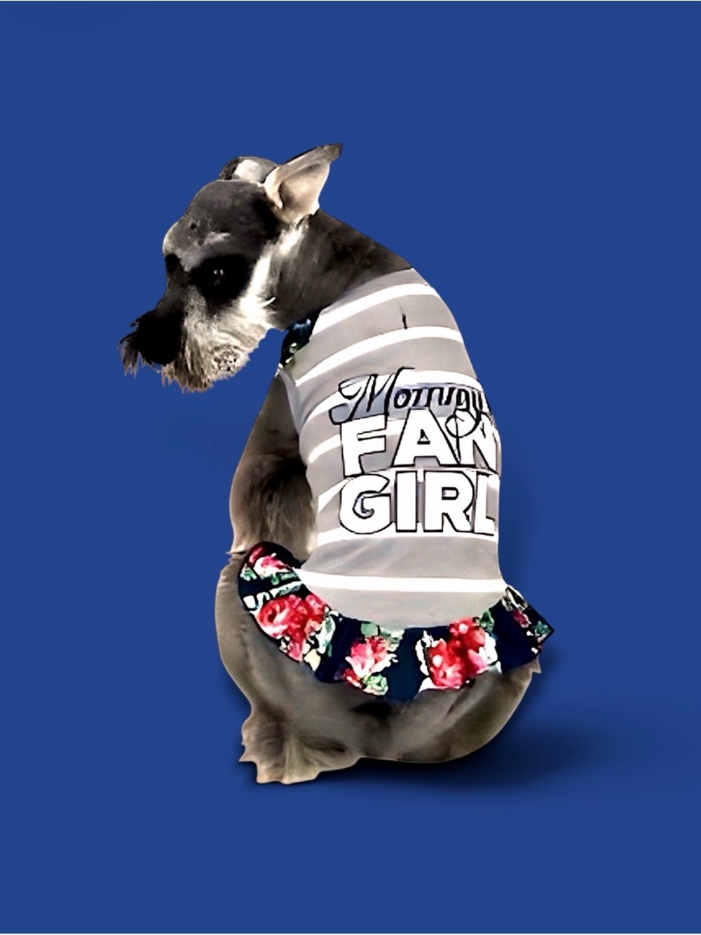 Vibrant Life Mommy's Fan Girl Dog Tank